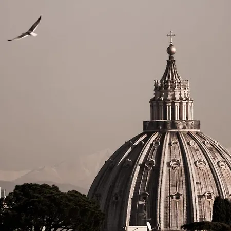 Ficus Corner - Vatican-3