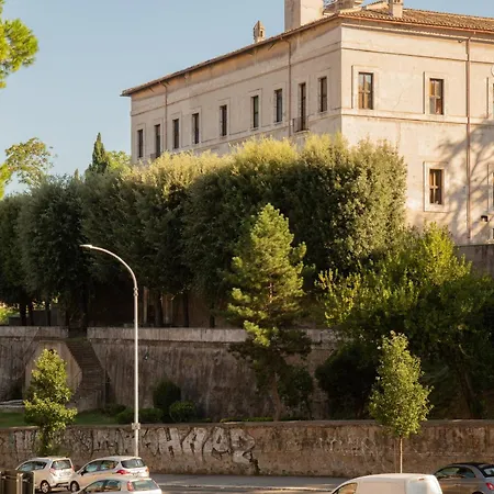 Ficus Corner - Vatican-2